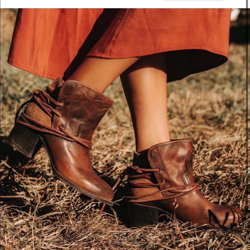 Freebird by Steven Casey